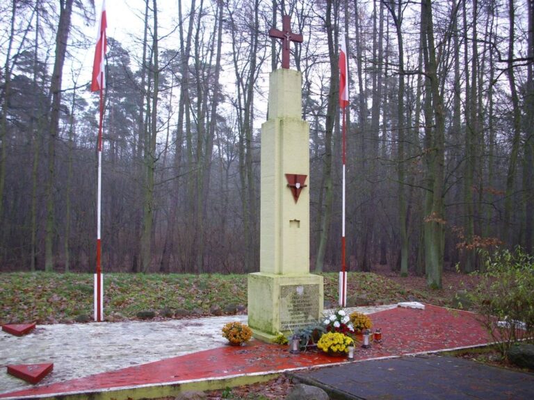 Zdjęcie przedstawiające pomnik upamiętniający egzekucję w Lesie Bytyńskim